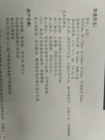 journal_insert_pic_795351636