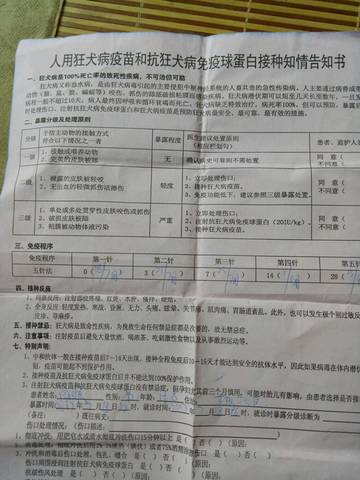 journal_insert_pic_795057297