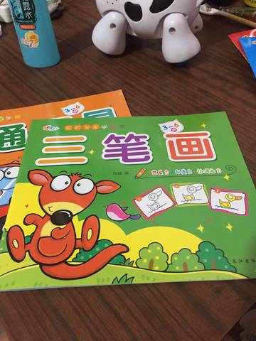 journal_insert_pic_796042040