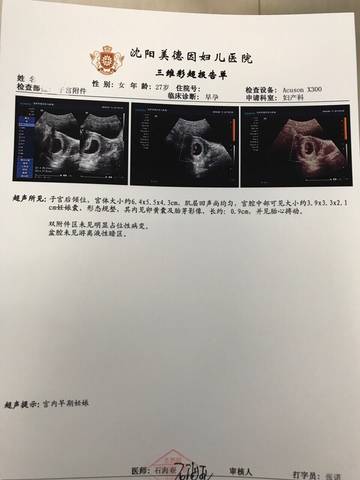 journal_insert_pic_795651711