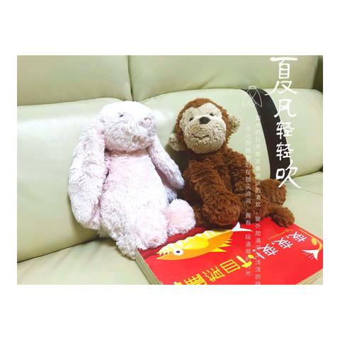 journal_insert_pic_795515156
