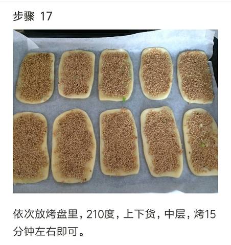 journal_insert_pic_795864610
