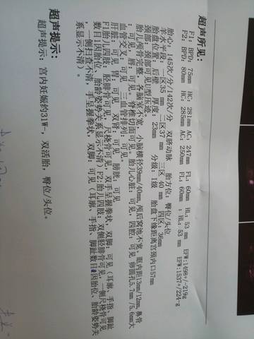 journal_insert_pic_796321426