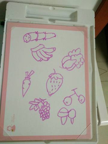 journal_insert_pic_796369873