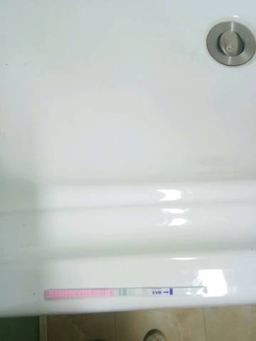 journal_insert_pic_798094682