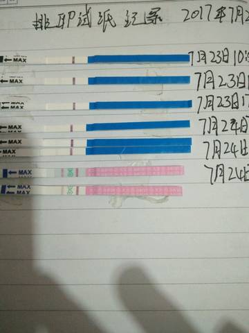 journal_insert_pic_799037947