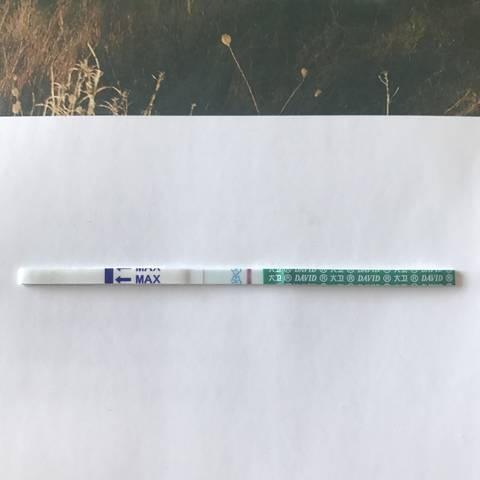 journal_insert_pic_799245113
