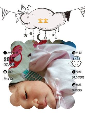 journal_insert_pic_800209671