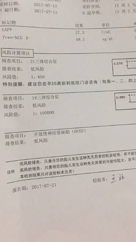 journal_insert_pic_800318719