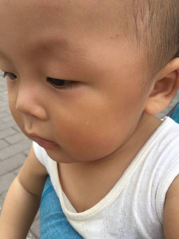 journal_insert_pic_800991654