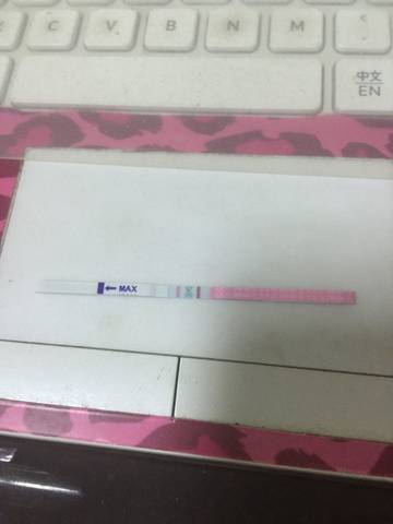 journal_insert_pic_801123950