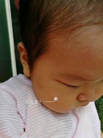 journal_insert_pic_801587029