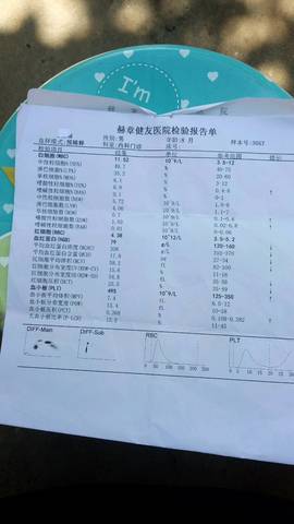 journal_insert_pic_803147627
