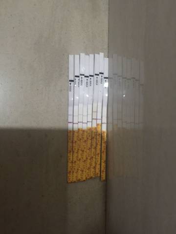 journal_insert_pic_803465390