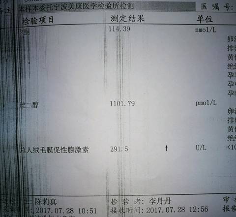 journal_insert_pic_803263526