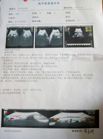 journal_insert_pic_804009920