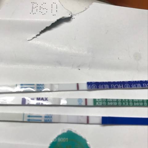 journal_insert_pic_804485545