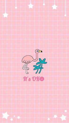 journal_insert_pic_805169571