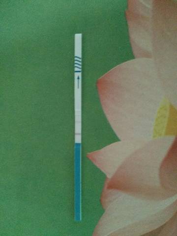 journal_insert_pic_804851119