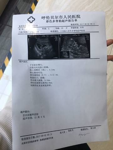 journal_insert_pic_805684792