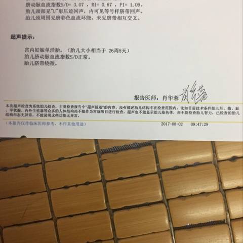 journal_insert_pic_806254839