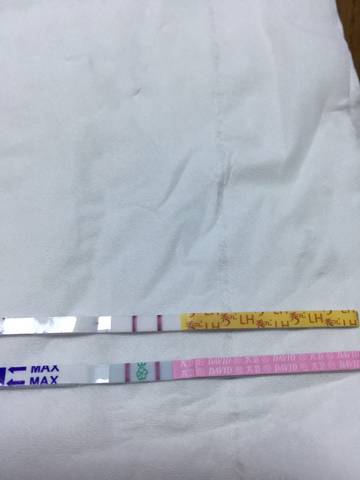 journal_insert_pic_806112060