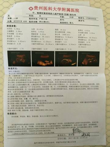 journal_insert_pic_807353672