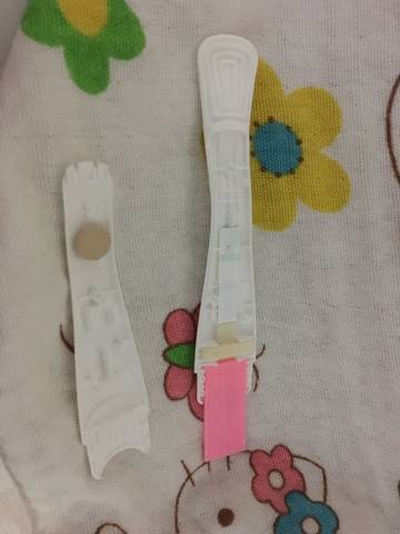 journal_insert_pic_808364891