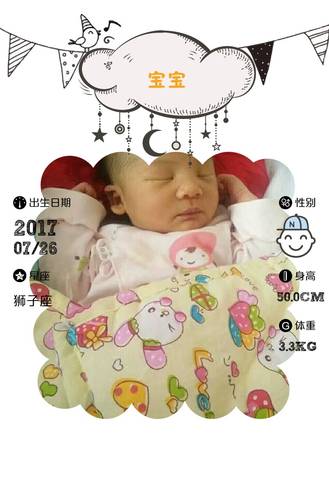 journal_insert_pic_808134550