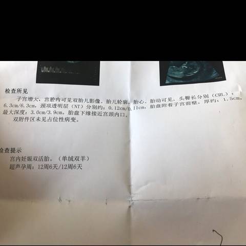 journal_insert_pic_807906011