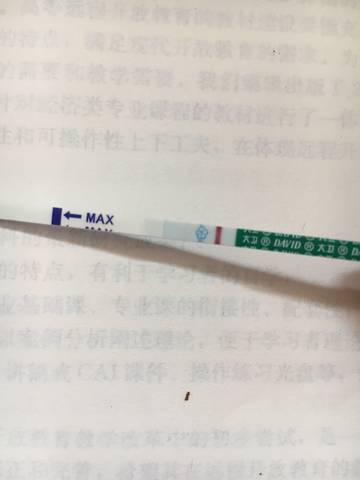 journal_insert_pic_807916978