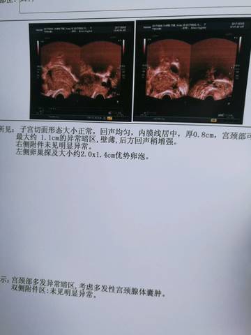 journal_insert_pic_809075722