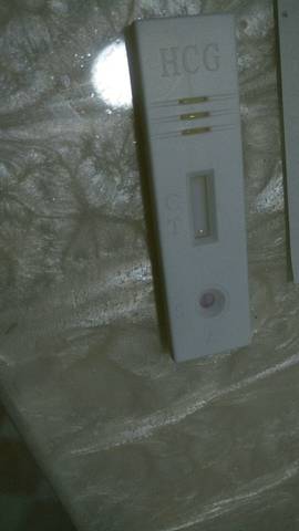 journal_insert_pic_809400892