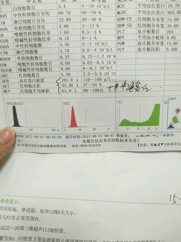 journal_insert_pic_809739634