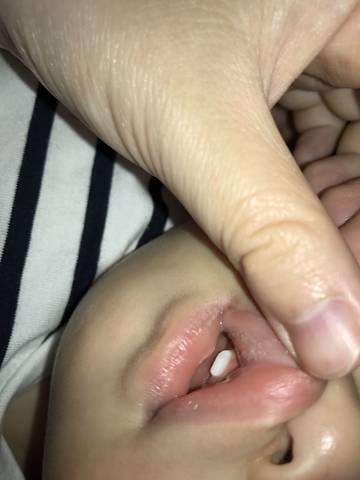 journal_insert_pic_809902223