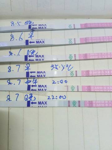 journal_insert_pic_810115142