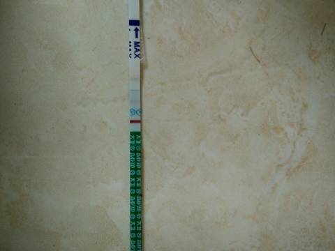 journal_insert_pic_810444714