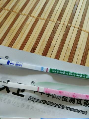 journal_insert_pic_810346470