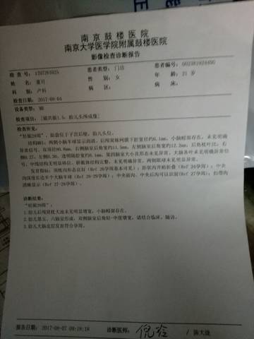 journal_insert_pic_810787774