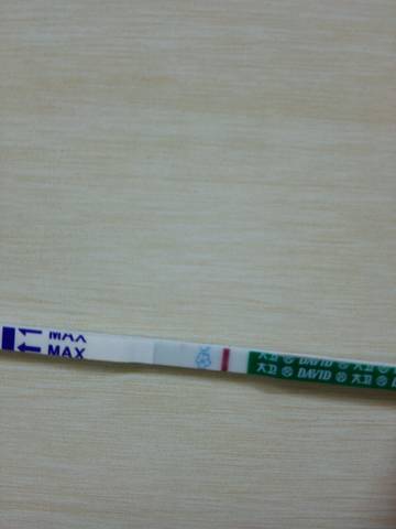 journal_insert_pic_810761345