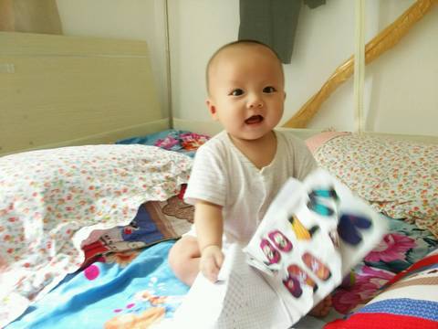 journal_insert_pic_811282193