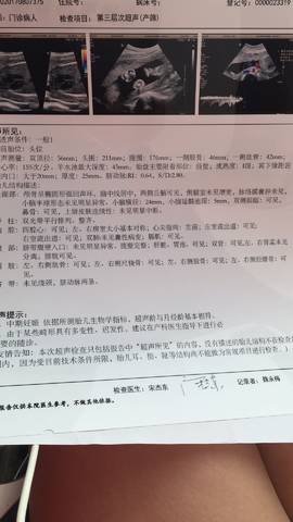 journal_insert_pic_811213105