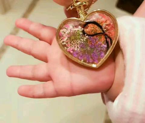 journal_insert_pic_811349981