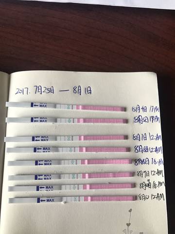 journal_insert_pic_812165595