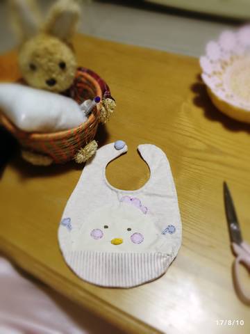 journal_insert_pic_812717417