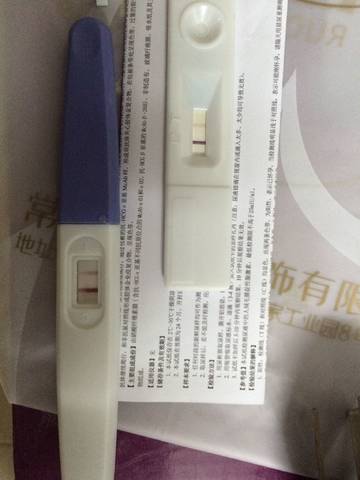 journal_insert_pic_813270857