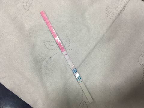 journal_insert_pic_813258147