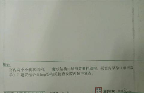 journal_insert_pic_814113125