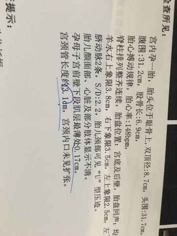 journal_insert_pic_814167546