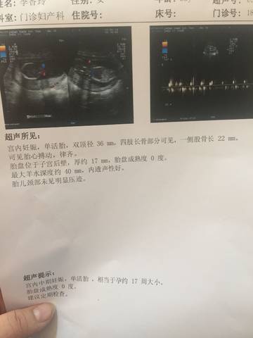 journal_insert_pic_814839986